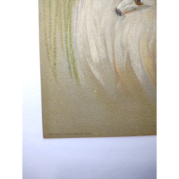 Victorian Art Print Women Wearing Headed Fox Muff Stole Lithograph 1910 Original - Picture 3 of 4